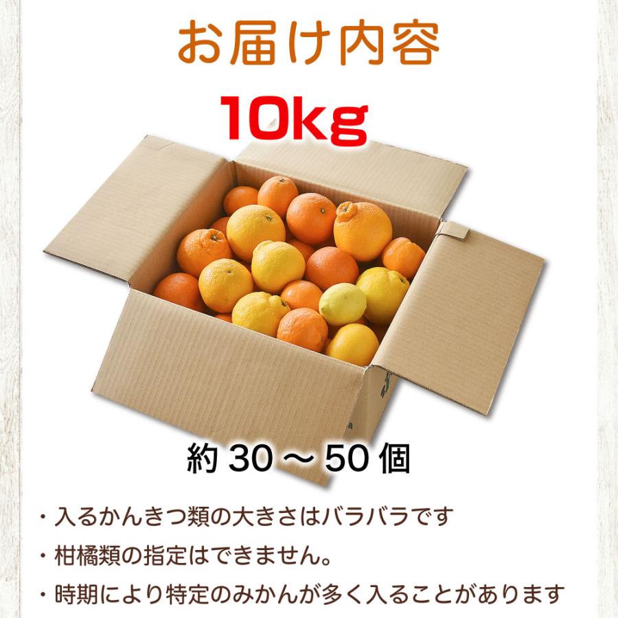 伊藤農園 みかん 詰め合わせ かんきつ類 訳あり 10kg 和歌山みかん