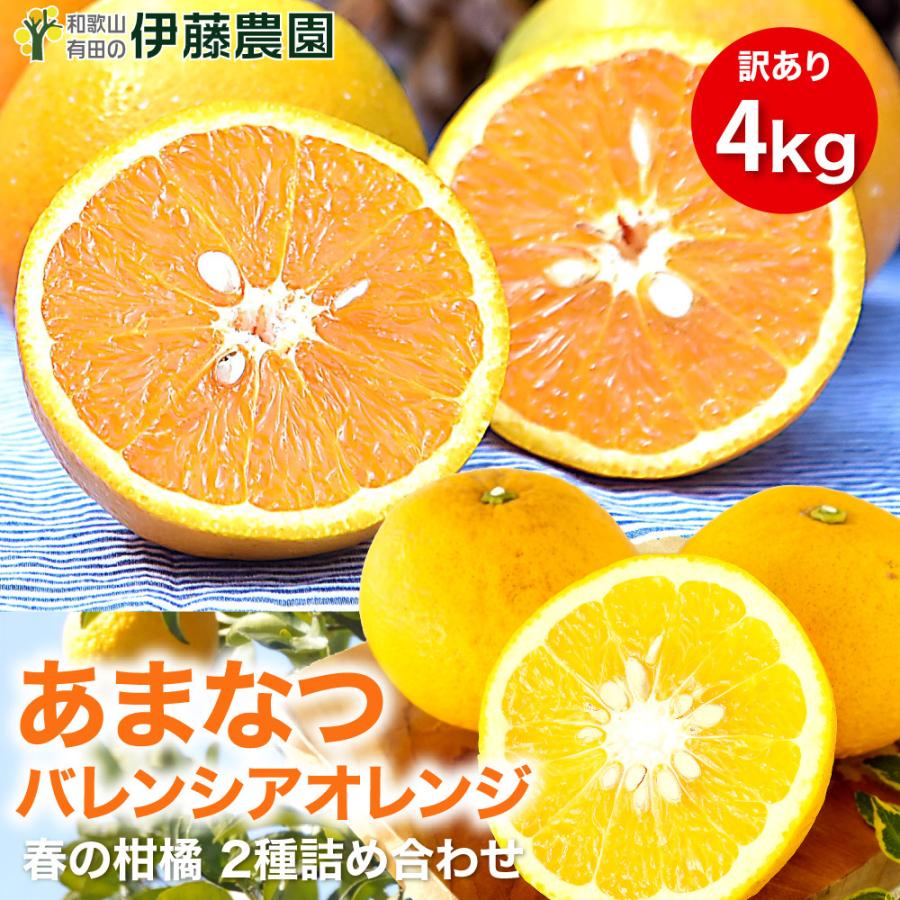 みかん 詰め合わせ かんきつ類 訳あり 4kg みかん以外 和歌山みかん 送料無料 防腐剤 不使用 北海道 沖縄 送料 770円 お取り寄せ フルーツ Zzz2 4 伊藤農園 ジュースと果実 Yahoo 店 通販 Yahoo ショッピング