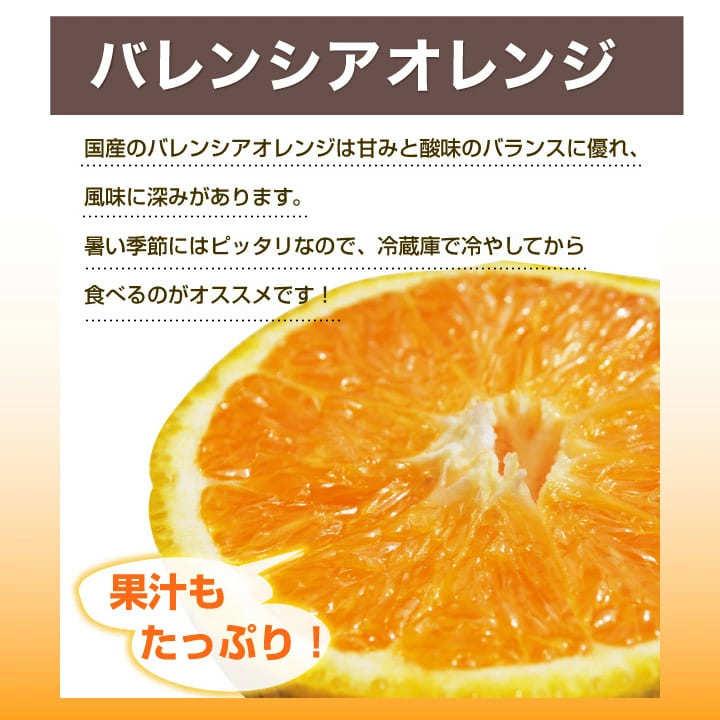 2箱購入で送料無料 みかん フルーツ 詰め合わせ かんきつ類 訳あり 2kg みかん 和歌山 自宅用 柑橘類 旬 Zzz2 9 伊藤農園 ジュースと果実 Yahoo 店 通販 Yahoo ショッピング