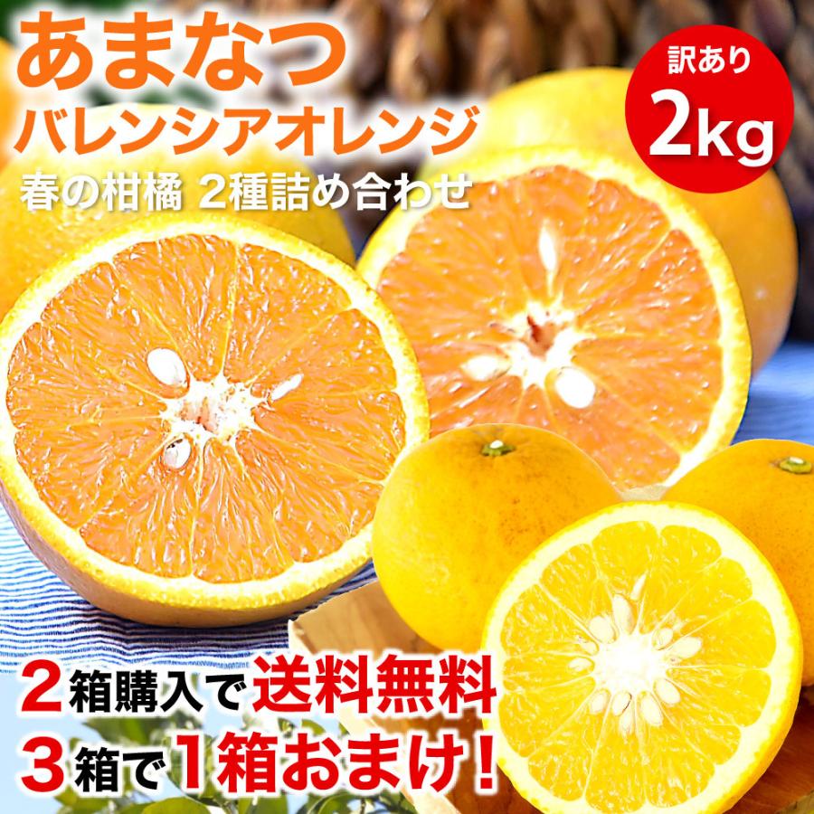 2箱購入で送料無料 みかん フルーツ 詰め合わせ かんきつ類 訳あり 2kg みかん 和歌山 自宅用 柑橘類 旬 Zzz2 9 伊藤農園 ジュースと果実 Yahoo 店 通販 Yahoo ショッピング