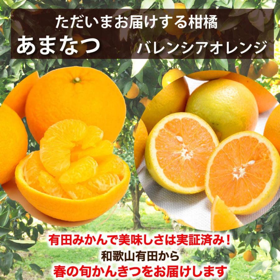 2箱購入で送料無料 みかん フルーツ 詰め合わせ かんきつ類 訳あり 2kg みかん 和歌山 自宅用 柑橘類 旬 Zzz2 9 伊藤農園 ジュースと果実 Yahoo 店 通販 Yahoo ショッピング
