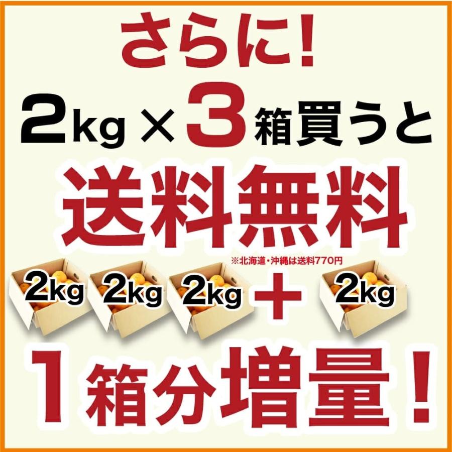 2箱購入で送料無料 みかん フルーツ 詰め合わせ かんきつ類 訳あり 2kg みかん 和歌山 自宅用 柑橘類 旬 Zzz2 9 伊藤農園 ジュースと果実 Yahoo 店 通販 Yahoo ショッピング