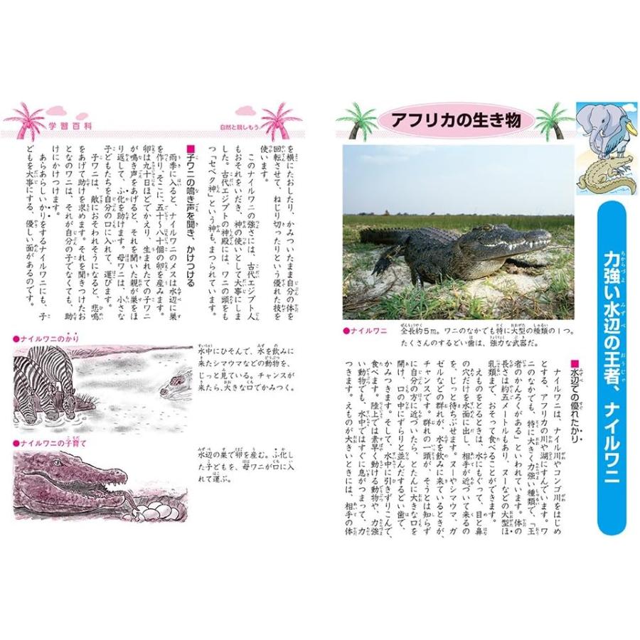 ショウワノート ジャポニカ学習帳 国語 17行 JL-14 B5判 小学生 中学年
