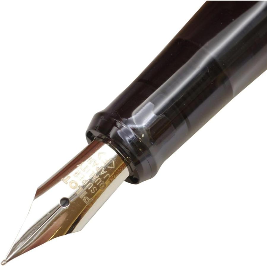 PILOT（パイロット） 万年筆 ライティブ LIGHTIVE FLT2SR ANVF 細字