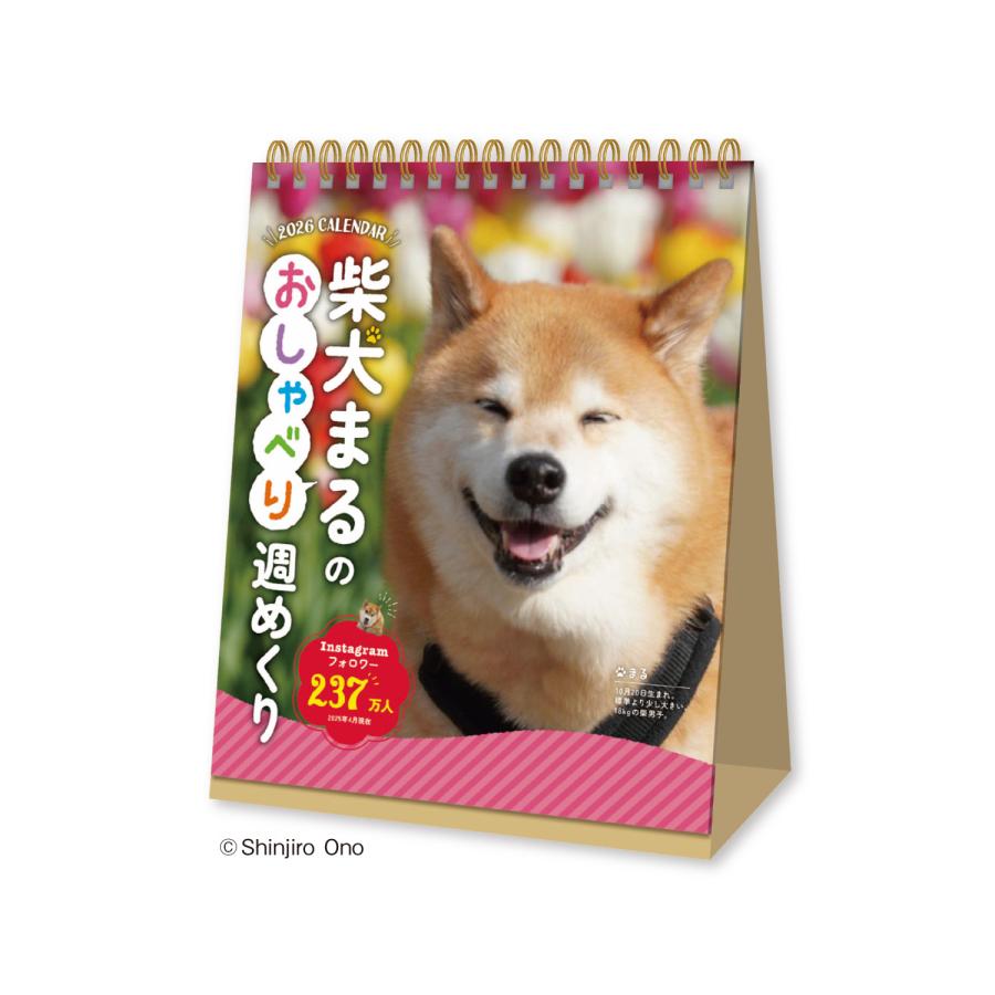 いぬ購入12000 住商アグロ チューデントソフト SS 7本入（4562149053584）｜犬