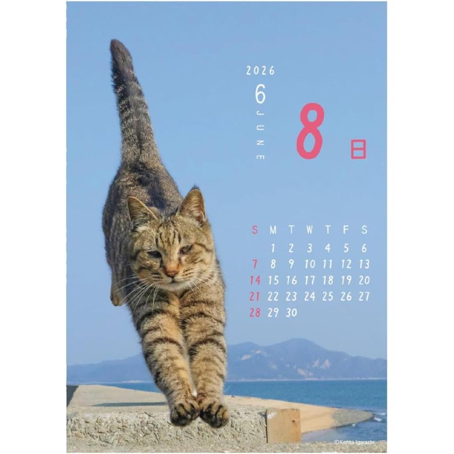 50周年記念コラボカレンダーです。 2025年10月の営業日カレンダーです🍁 ✓通常営業 11:00～17:00