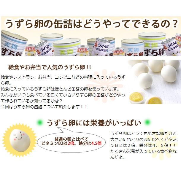 国産 うずら 430g 2缶 セット 天狗缶詰 うずら卵水煮r 賞味期限 24年11月 イト食堂 Yahoo 店 通販 Yahoo ショッピング