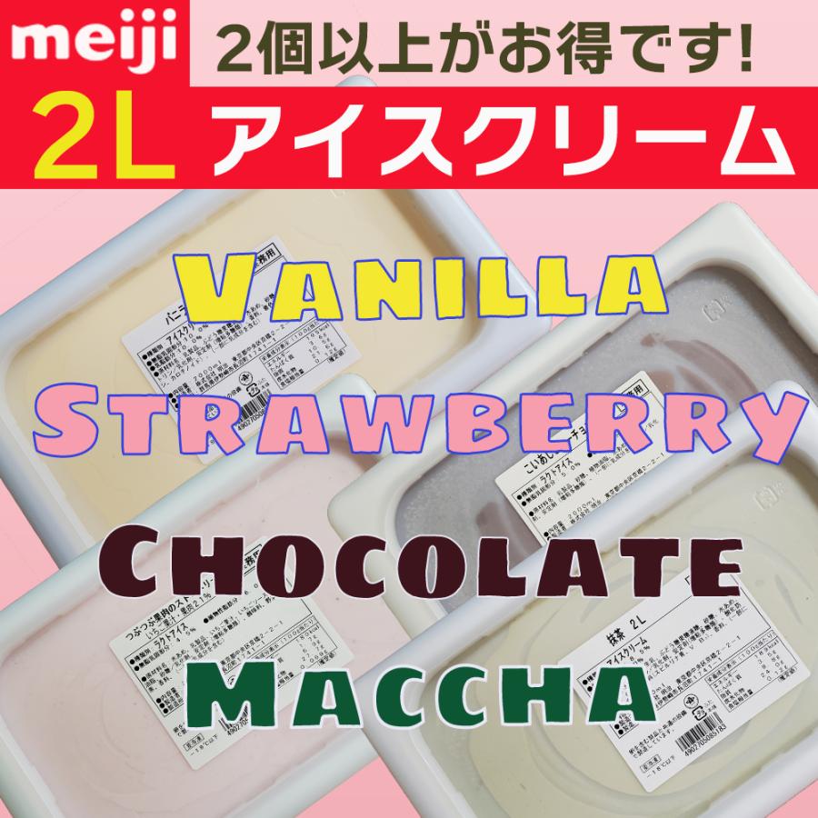 明治 アイスクリーム バニラ チョコ 抹茶 ストロベリー つぶつぶ果肉 業務用 4種類 選択 選べる 1個から3個 2l