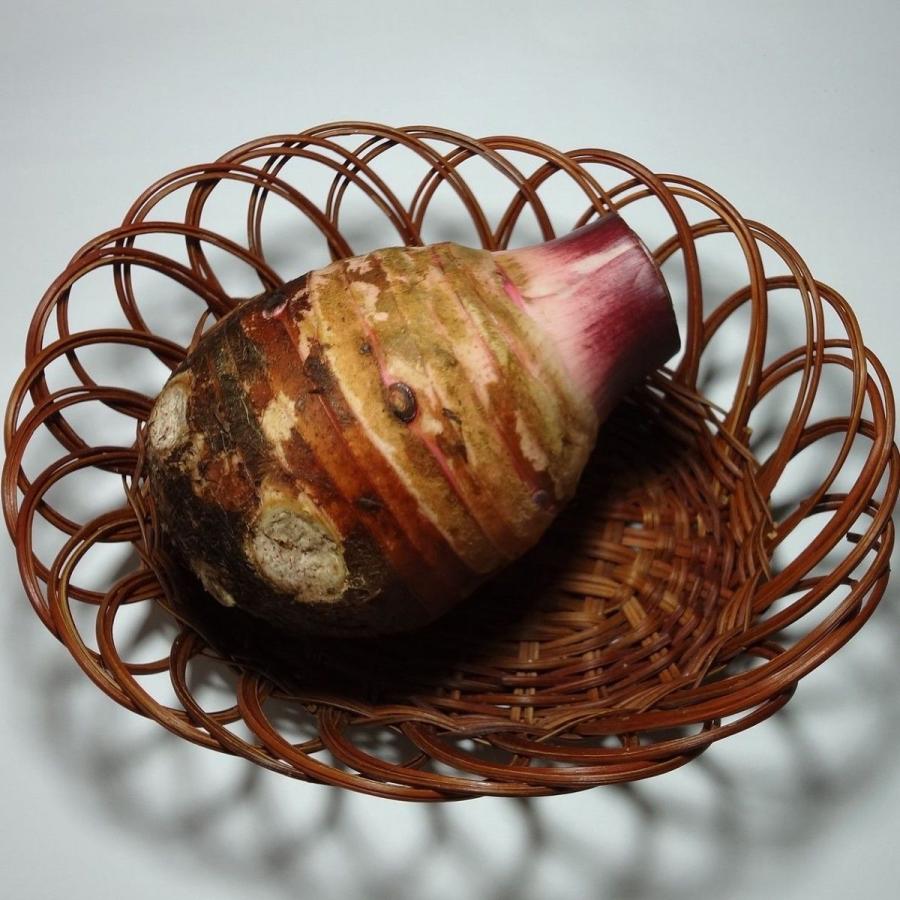 赤芽親芋 里芋 さといも 1 2個 約500ｇ 福岡産 A 12 伊都野菜園 通販 Yahoo ショッピング