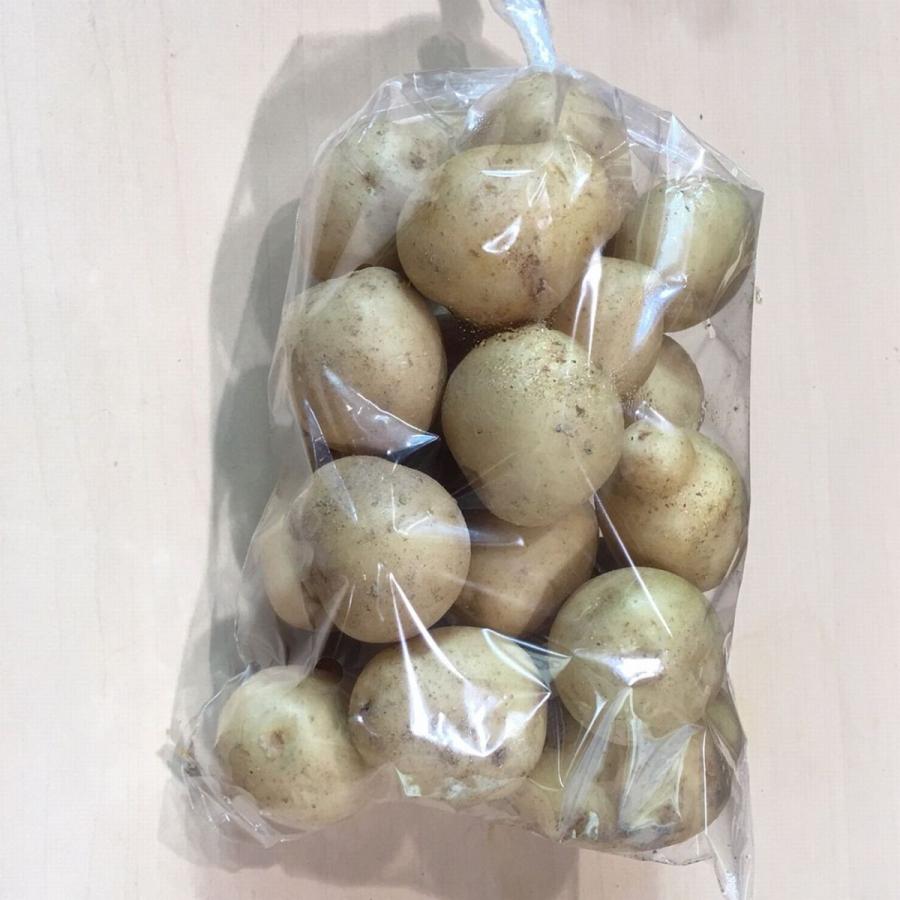 2年保証 小じゃがいも 一口サイズ 福岡産