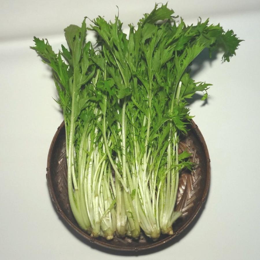 みずな 天然みずレシピ