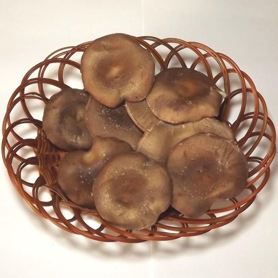 椎茸 菌床栽培 1袋 約0ｇ 福岡産 B 25 伊都野菜園 通販 Yahoo ショッピング