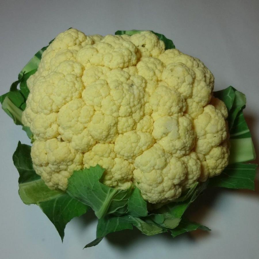 伊都野菜園カリフラワー 1個または大1 福岡産 2個