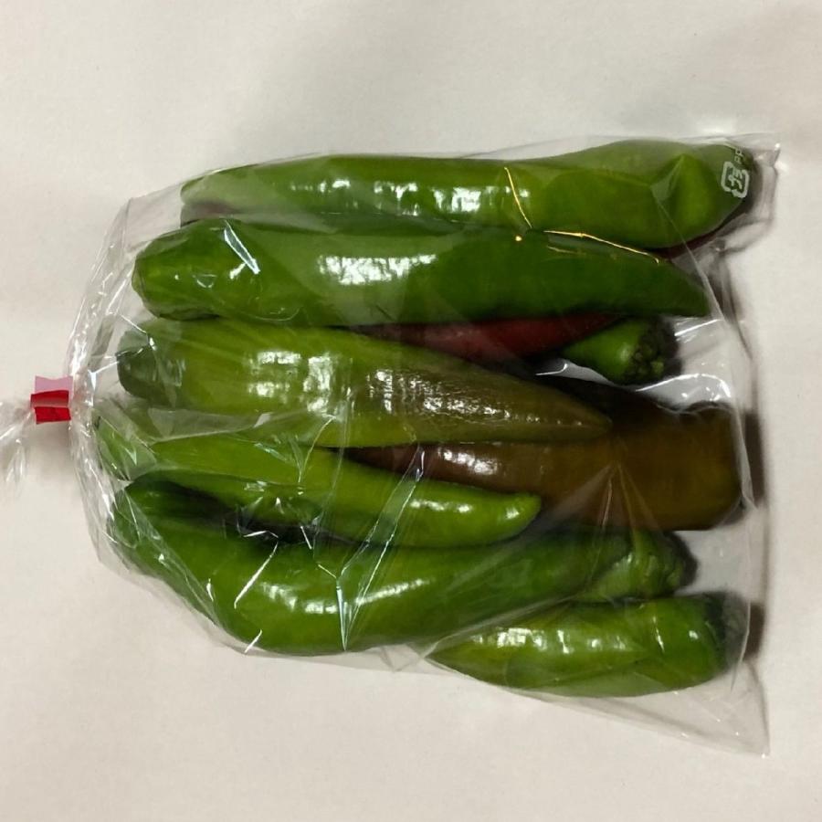 甘長とうがらし 万願寺唐辛子 ピーマンでもなく ししとうでもない 福岡産 C 07 伊都野菜園 通販 Yahoo ショッピング