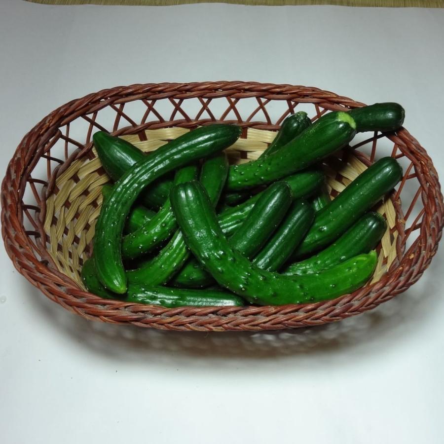 訳ありきゅうり 摘果した小さいきゅうり 福岡産 C 42 伊都野菜園 通販 Yahoo ショッピング