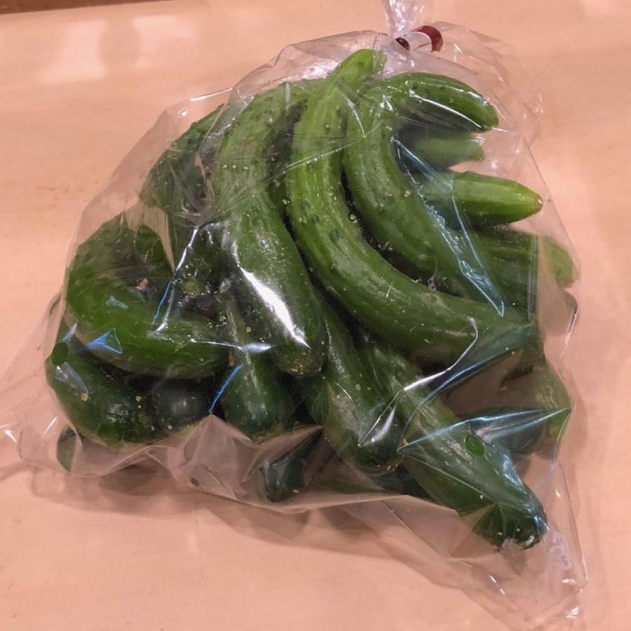 訳ありきゅうり 摘果した小さいきゅうり 福岡産 C 42 伊都野菜園 通販 Yahoo ショッピング