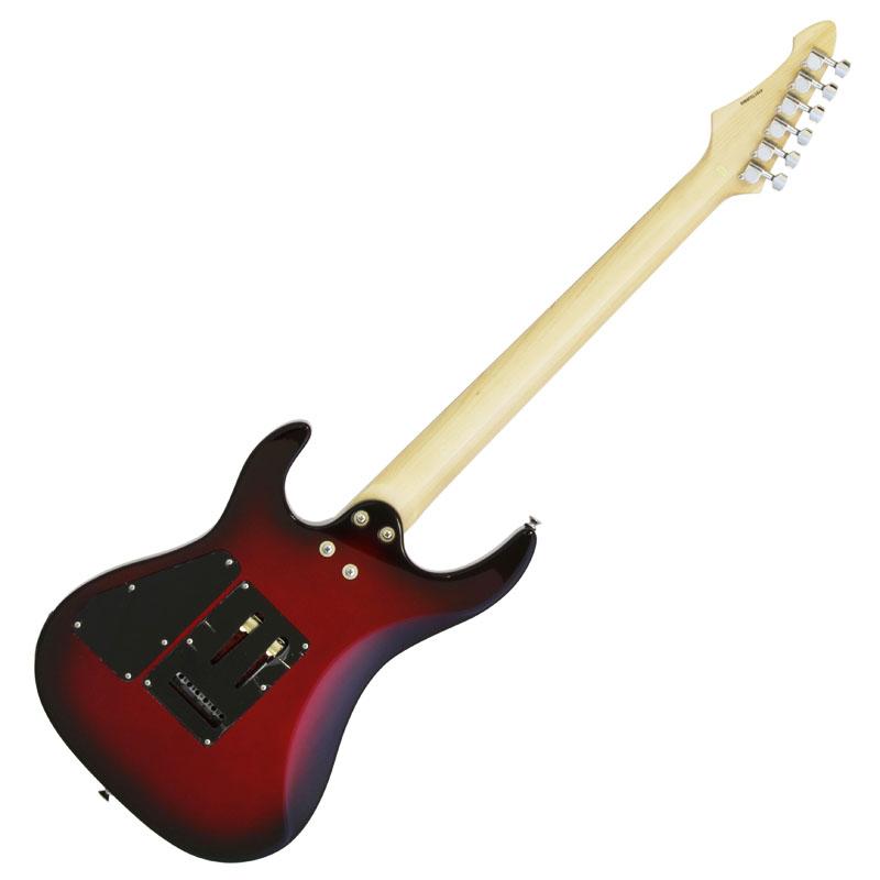 初心者も安心 調整済で弾きやすいAria Pro II MAC-STD MRS 初心者セット |  | 02