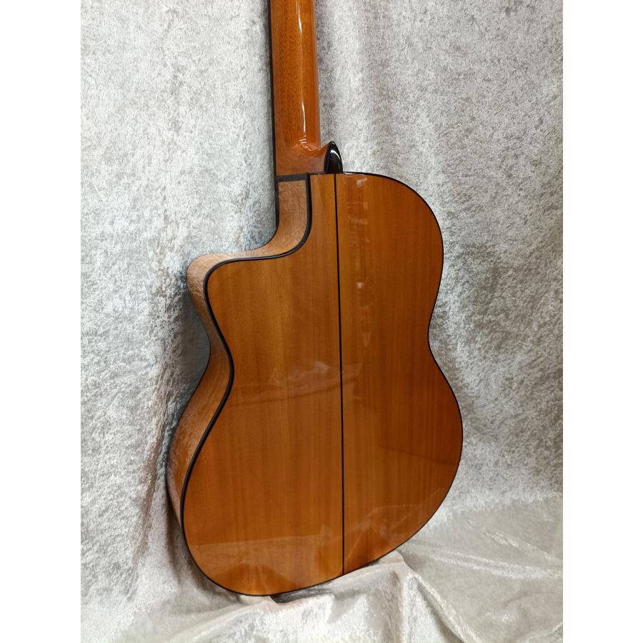Cordoba GK Studio Edge Burst -調整済で弾きやすいエレガット- : 伊藤