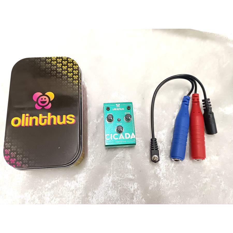 Olinthus CICADA Overdrive-国内正規輸入品- : 伊藤楽器 松戸店 - 通販