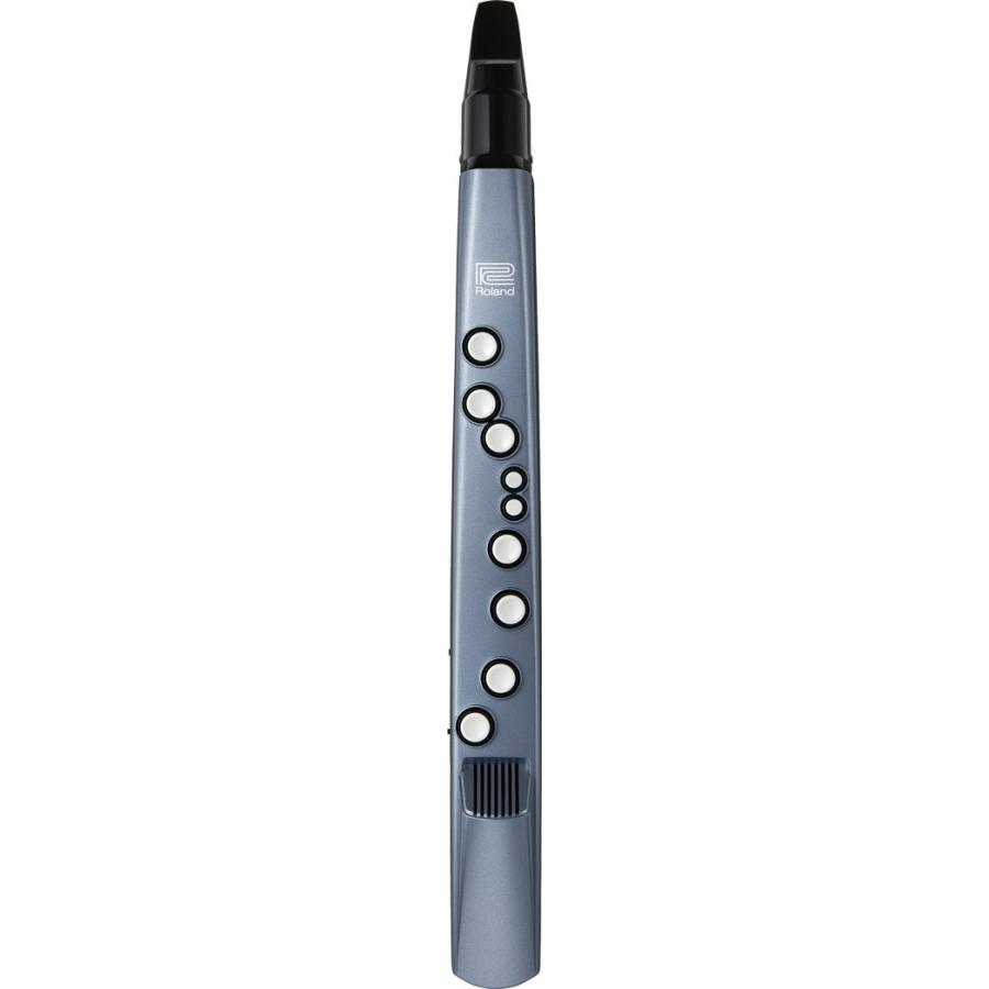 ローランド（Roland） ROLAND Aerophone mini AE-01 : 伊藤楽器 松戸店