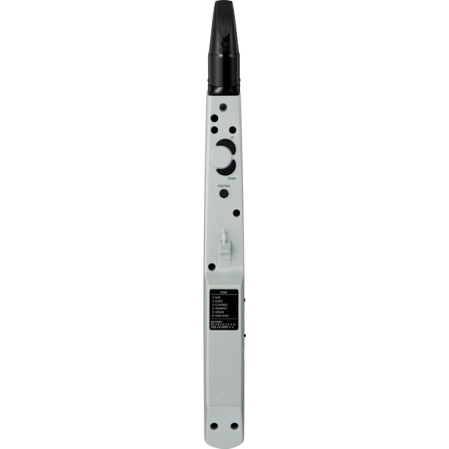 ローランド（Roland） ROLAND Aerophone mini AE-01 : 伊藤楽器 松戸店