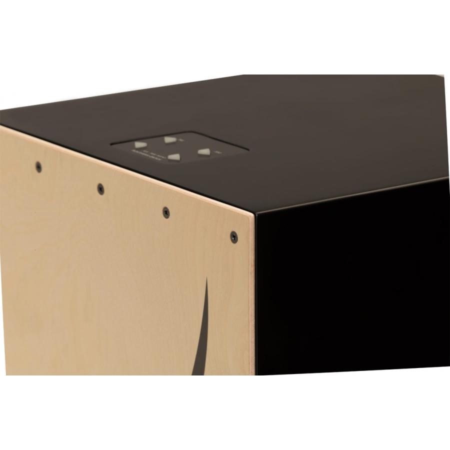 Roland EC-10 Electronic Layered Cajon : 伊藤楽器 松戸店