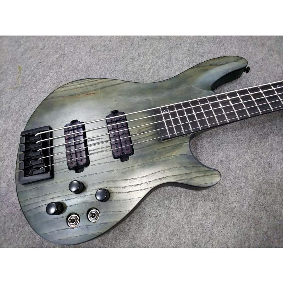 調整済で弾きやすい5弦ベース Schecter / C-5 APOCALYPSE(RS