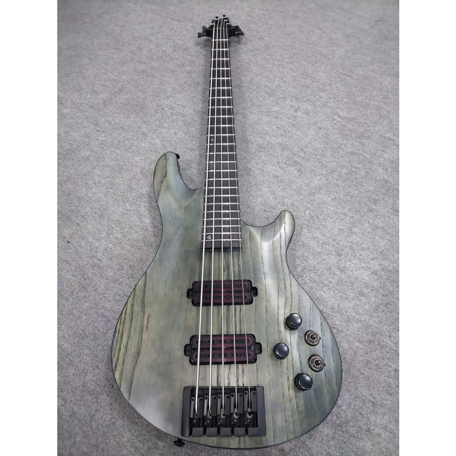 調整済で弾きやすい5弦ベース Schecter / C-5 APOCALYPSE(RS
