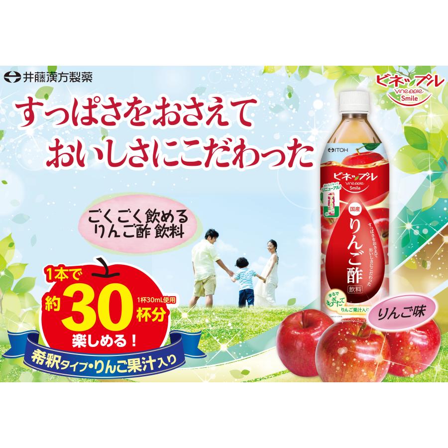 井藤漢方製薬 【お得なケース販売（12本入り）！】お酢飲料【ビネッ 