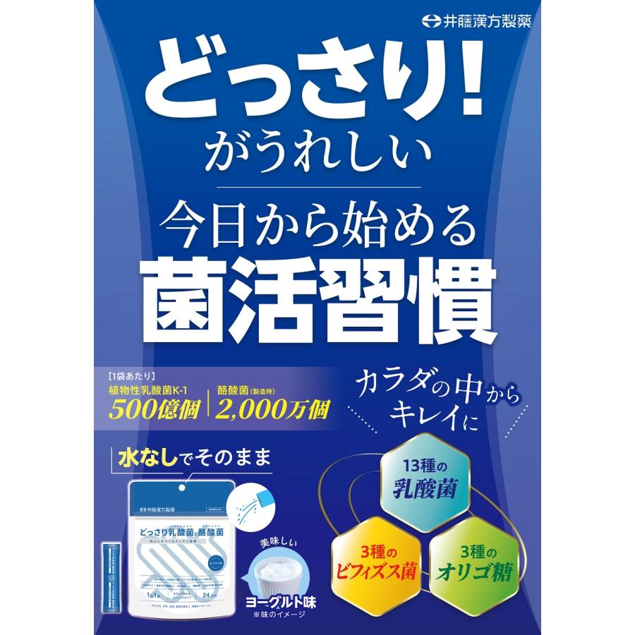 【お得な3個セット】乳酸菌・酪酸菌サプリメント【どっさり乳酸菌と酪酸菌 24日分】 | 井藤漢方製薬 | 03