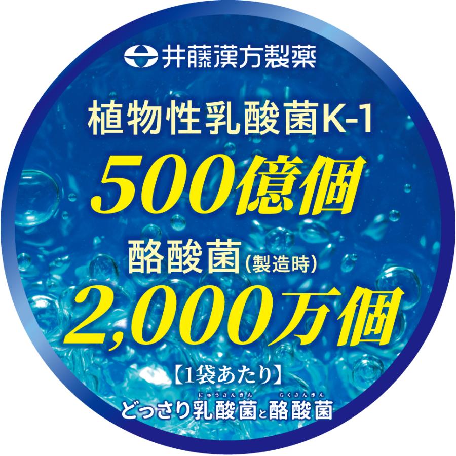 乳酸菌・酪酸菌サプリメント【どっさり乳酸菌と酪酸菌 24日分】 | 井藤漢方製薬 | 05