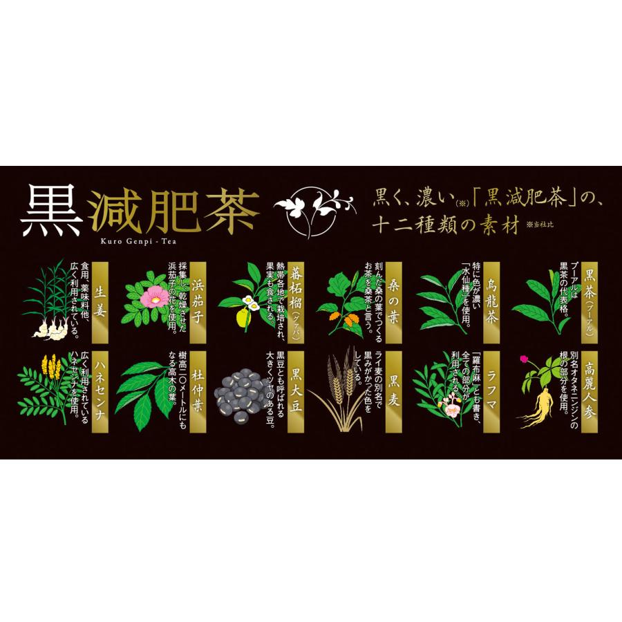 ダイエット茶【黒減肥茶 33袋】カロリー0 ブレンド茶 |  | 06