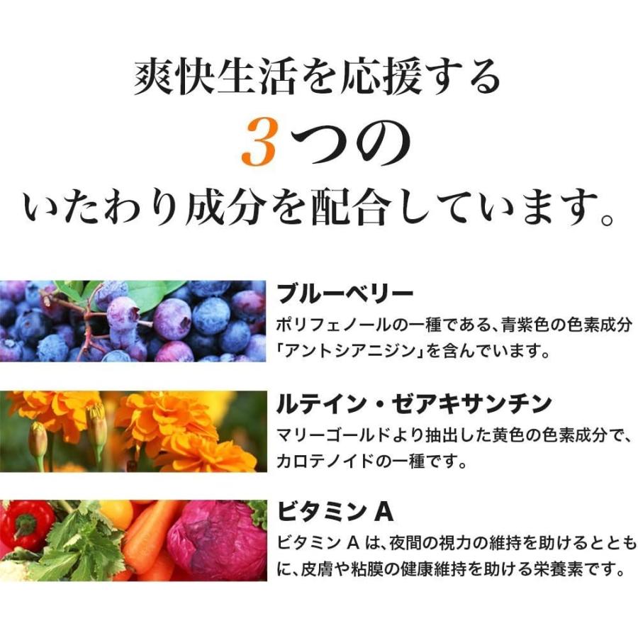 ブルーベリーサプリメント【ブルーベリールテインプラス 約20日分 300mgX60粒】 ブルーベリーエキス ルテイン サプリ ビタミンA | 井藤漢方製薬 | 02