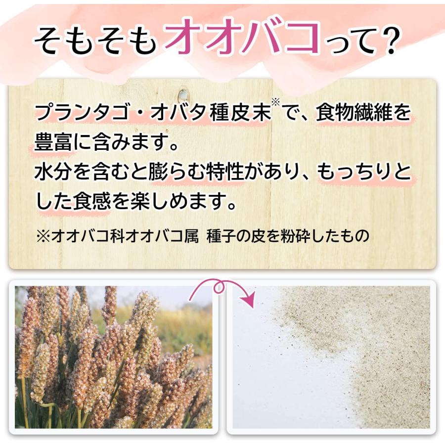 井藤漢方製薬 オオバコサプリメント【オオバコダイエット約62日 500g