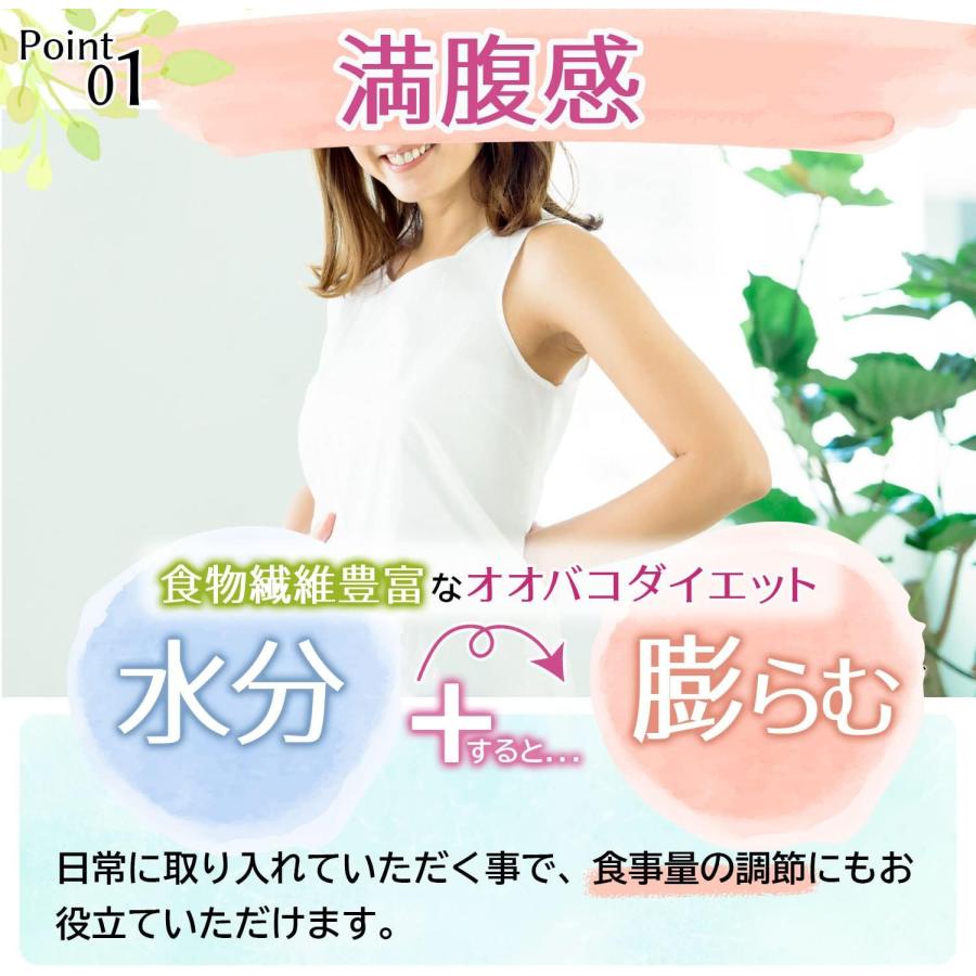 井藤漢方製薬 オオバコサプリメント【オオバコダイエット約62日 500g