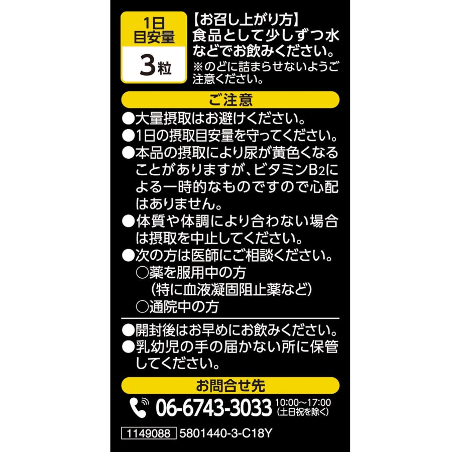 にんにくサプリメント【国産 無臭にんにく 約30日分 400mgX90粒】 国産にんにく ビタミン 緑茶末 | 井藤漢方製薬 | 01