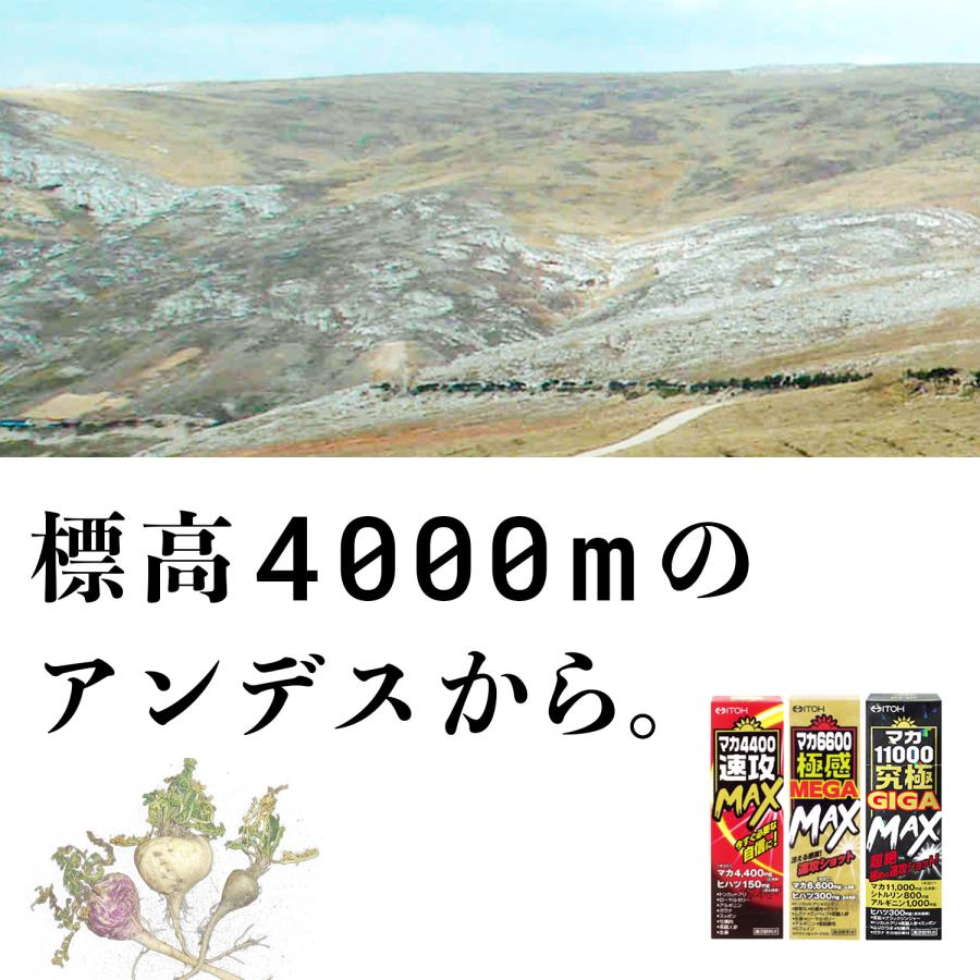 井藤漢方製薬 マカドリンク【マカ4400 速攻MAX 1日分 50ml】滋養 井藤漢方製薬 マカドリンク【マカ4400 速攻MAX 1日分 50ml】滋養