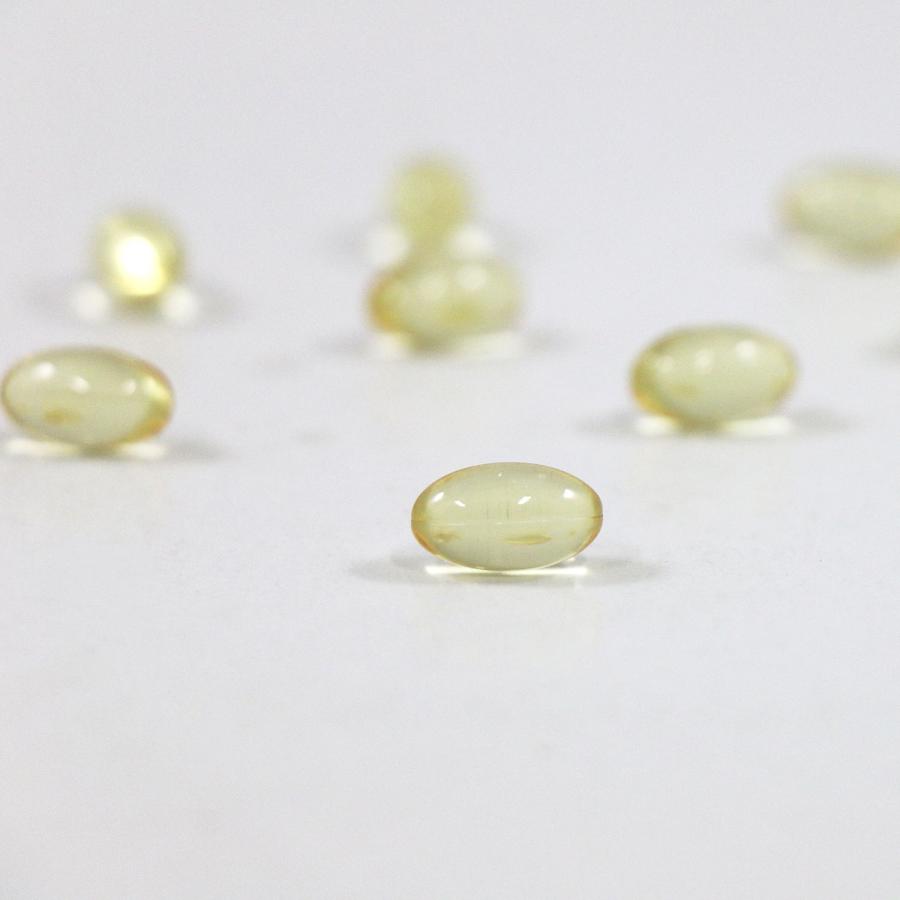 DHAサプリメント【DHA1000S 約20日分 120粒 [機能性表示食品] 】記憶サポート 中性脂肪 オメガ3脂肪酸 フィッシュオイル DHA EPA サプリメント | 井藤漢方製薬 | 02