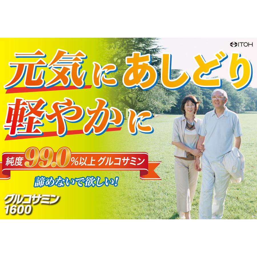 グルコサミンサプリメント【快適楽々グルコサミン1600 たっぷり大容量 90日分 720粒】 コンドロイチン硫酸 ヒアルロン酸 | 井藤漢方製薬 | 01