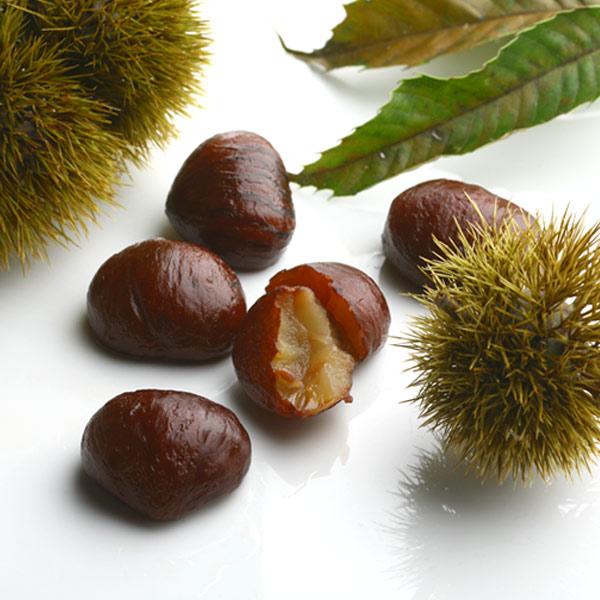 お歳暮 御歳暮 プレゼント ギフト お菓子 お茶 抹茶スイーツ 宇治抹茶栗きんとん 6個入 § 60代 70代 80代 ギフト 和菓子 § 伊藤久右衛門 | 伊藤久右衛門 | 03