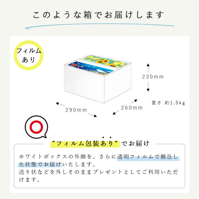 お中元 ギフトセット トイレットペーパー ティッシュ 詰め合わせ 2026年夏 コンパクトサイズ 10001167 ご挨拶 | イトマン | 08