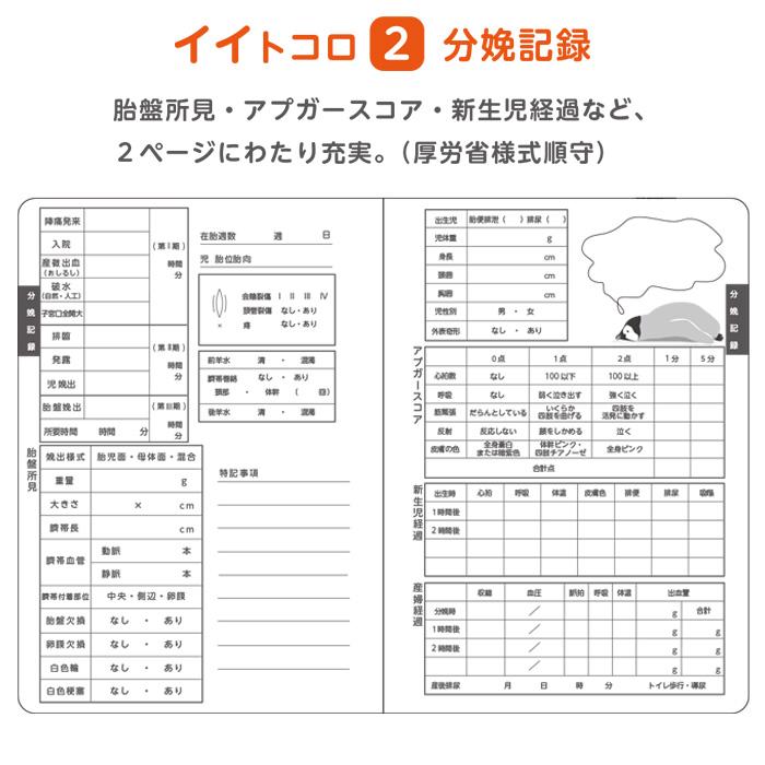 120冊】母性看護学生 実習用 ノート バイタルサイン アプガースコア