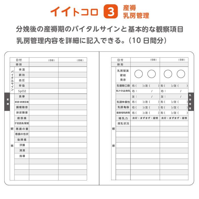 5冊】母性看護学生 実習用 ノート バイタルサイン アプガースコア 分娩