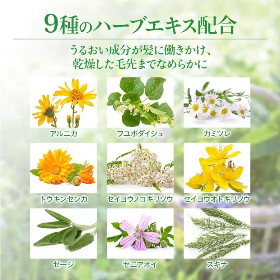 セール ネイル トリートメント パック 0g ヘア トリートメント インバス 日本製 ハーブ アーブライフ Www Threeriversofs Com