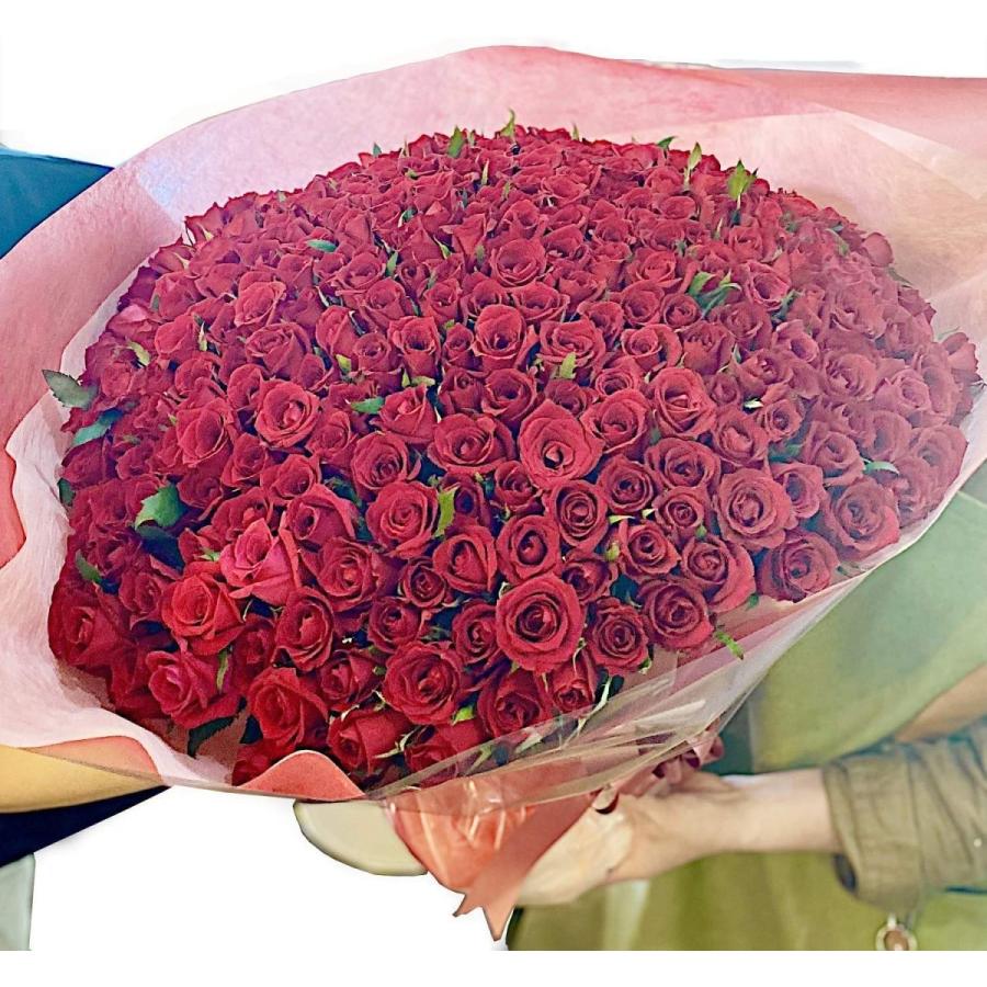 ビズフラワー バス用品 花束 バラ 365本 花言葉 毎日君が恋しい レッド 赤 バラ 薔薇 ローズ 告白 お祝い プロポーズ 誕生日 記念日 大切な日 告白 結婚 いとまさ商会 大宮