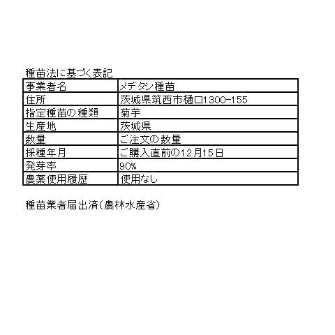 菊芋（キクイモ）の種芋（１０個）栽培期間中農薬化学肥料不使用・栽培説明書付き｜itomedetashi｜10