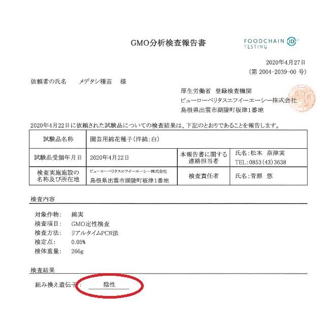 出荷 無農薬栽培 綿の種 アップランド綿 ３０粒 栽培説明書付き Aynaelda Com