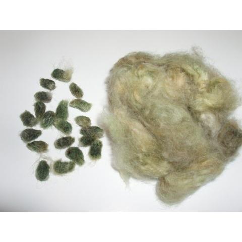 無農薬栽培 綿の種 緑綿 ３０粒 栽培説明書付き Npz37qygsa メデタシ種苗ヤフー店 通販 Yahoo ショッピング