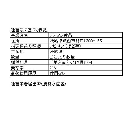 ほど芋（アピオス）の種芋（２０個）栽培期間中農薬化学肥料不使用・栽培説明書付き｜itomedetashi｜03