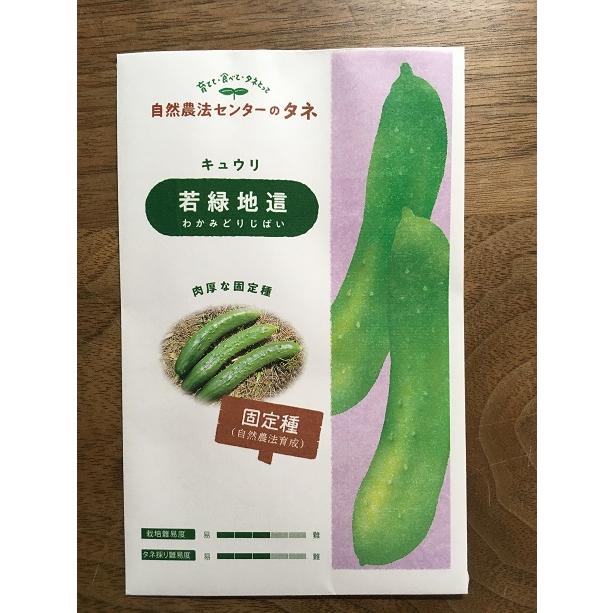 若緑（きゅうり）の種（小袋10粒）春夏蒔き（自然栽培の種）固定種